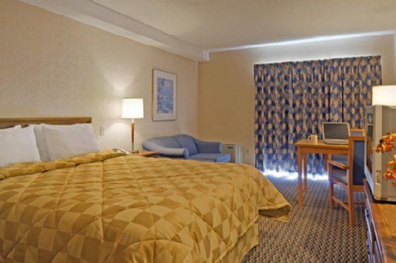 Comfort Inn Owen Sound Chambre photo